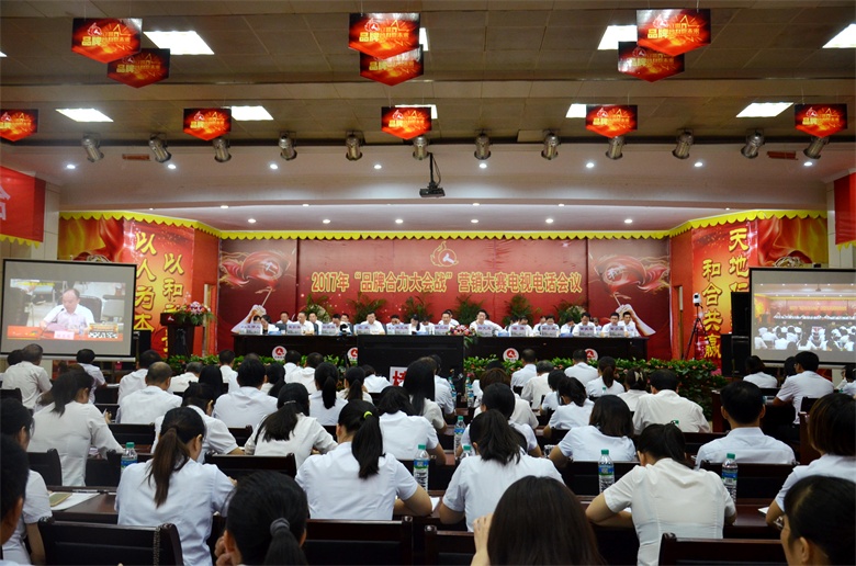 仁和集團召開2017年“品牌合力大會戰(zhàn)” 營銷大賽電視電話會議