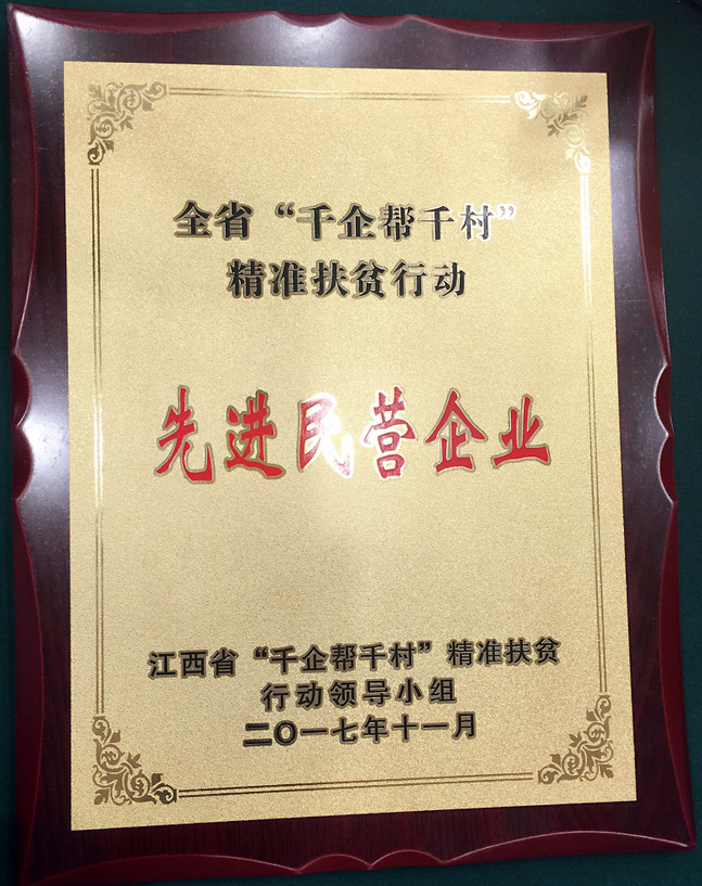 仁和集團喜獲江西省“千企幫千村”先進民營企業(yè)