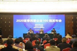 仁和集團連續三年位列宜春民營企業百強榜首