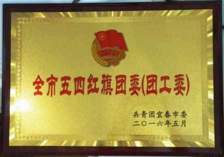 1463126878067064087.jpg 仁和集團團委榮膺宜春市“五四紅旗團委” (1).jpg